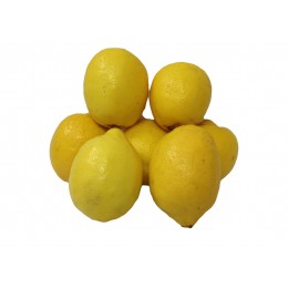 limoni bio