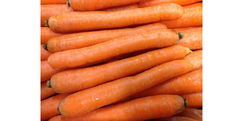 Il Settimanale di OrtofruttaOnline.bio; Questa settimana: le carote (13-19 Marzo 2017)